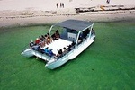 Private Catamaran Snorkeling Adventure from Punta Cana