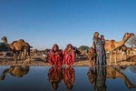 4 Hrs Pushkar Excursion From Jaipur and Drop at Jodhpur with Private Transports