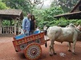 VIP Private Tour: Poas Volcano & La Paz Waterfalls Gardens from San Jose