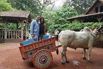 VIP Private Tour: Poas Volcano & La Paz Waterfalls Gardens from San Jose