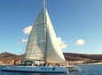 Fuerteventura: Day at Sea on a Sailing Catamaran with Lunch and Drinks 