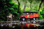 Half-Day Off Road Cave Safari in Fiji