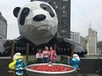 Chengdu Private Tour of Panda Experience