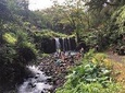 Maui Tour : Road to Hana Day Trip from Lahaina 