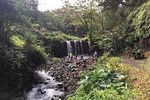 Maui Tour : Road to Hana Day Trip from Lahaina 