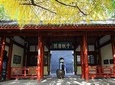 Chengdu City Sightseeing Private Day Tour