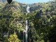 Visit to the Nature Waterfall of La Chorrera (Private Tour)