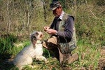 Private Truffle hunt in Tuscany from Florence