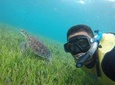 4-in-1 Cancun Snorkeling Tour: Swim with turtles, reef, statues and shipwreck
