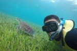 4-in-1 Cancun Snorkeling Tour: Swim with turtles, reef, statues and shipwreck