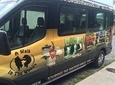 Smoky Mountain Guided Scenic High Van Tour