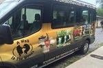 Smoky Mountain Guided Scenic High Van Tour
