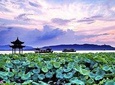 Half-Day Flexible Private Hangzhou Highlight Tour
