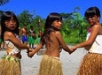 Full Day Rain Forest and Indian Reservation Tour from São Paulo