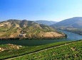 Douro Wine Tour Including 3 Wineries and Lunch to Small Group 