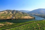 Douro Wine Tour Including 3 Wineries and Lunch to Small Group 