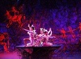 Beijing Acrobatics Night Show