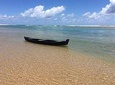 Praia do Forte beach tour, get to know the costa dos coqueiros