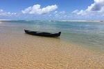 Praia do Forte beach tour, get to know the costa dos coqueiros