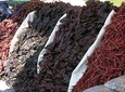 Gastronomic Experience in Oaxaca