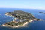 Combo Ile Sainte-Marguerite Ferry and Corniche d'Or cruise from Cannes