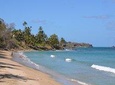 Tobago Island Tour