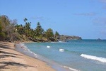 Tobago Island Tour