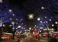 Christmas Lights Tour of London