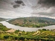 Douro Valley Private Tour from Oporto
