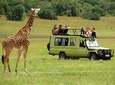 4 X 4 Toyota Land-Cruiser Transfer to Masai Mara National Reserve from Nairobi