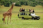 4 X 4 Toyota Land-Cruiser Transfer to Masai Mara National Reserve from Nairobi