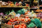 Florence Private Family Food Tour