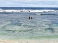 Half-Day Teta Island Tour