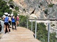 Caminito del Rey group walking tour