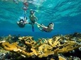 Orange Bay Giftun Island Snorkeling Trip