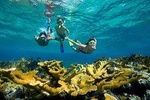 Orange Bay Giftun Island Snorkeling Trip