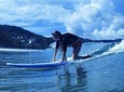 Surfing on Kata Beach Phuket