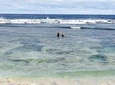 Teta Tours Island Tour