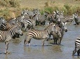 4 Days Northern Tanzania Wildlife Safari