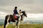 Wicklow Day Trip with Horse Riding Including Glendalough Tour from Dublin