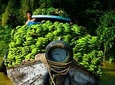 PRIVATE COMBINED LUXURY Cu Chi Tunnel & Mekong Delta 1 Day TRIP