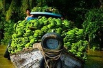 PRIVATE COMBINED LUXURY Cu Chi Tunnel & Mekong Delta 1 Day TRIP