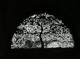 Ahmedabad City tour in a day