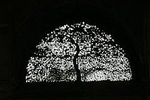 Ahmedabad City tour in a day