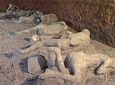 Pompeii guided Walking Tour with Entrance Ticket