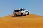 Dubai Red Dune Safari with BBQ Dinner & Live Shows from RAK