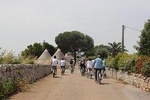 Private e-bike tour with lunch at Masseria