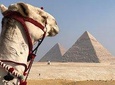 Giza Pyramids, Sphinx & Egyptian Museum treasures with private qualified guide