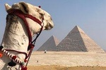 Giza Pyramids, Sphinx & Egyptian Museum treasures with private qualified guide