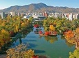 Sapporo: Book a Local